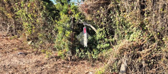 Terrain à Sardinia, Italy 100000m² No. 300029 11