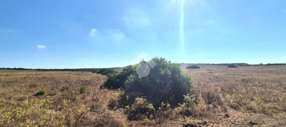Terrain à Sardinia, Italy 100000m² No. 300029 2