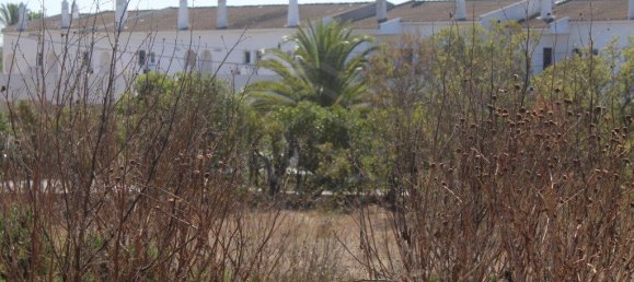 Terrain à Luz, Portugal 7080m² No. 52362 24