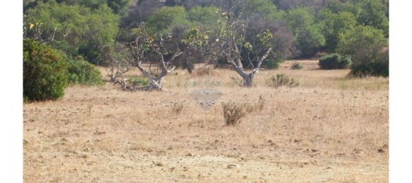 Grundstück in Silves, Portugal 54880m², Nr. 38981 2
