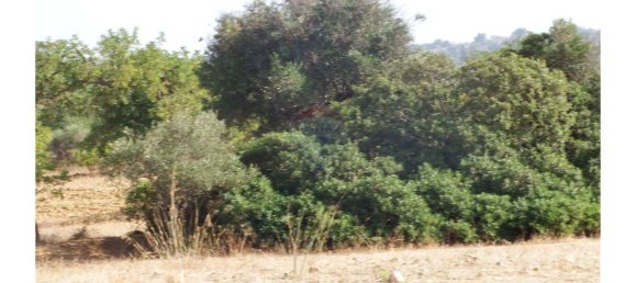 Grundstück in Silves, Portugal 54880m², Nr. 38981 3