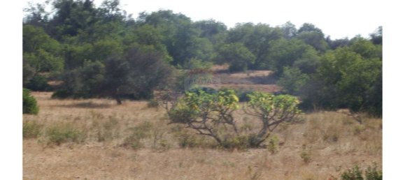 Grundstück in Silves, Portugal 54880m², Nr. 38981 4