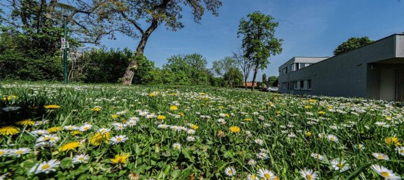 3 rooms Apartment in Schwechat, Austria No. 177925 17