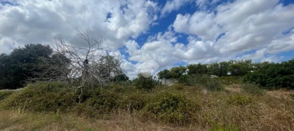 1083m² Land in Lecce, Italy No. 283940 5