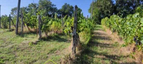 Grundstück in Capraia e Limite, Italy, Nr. 340314 4