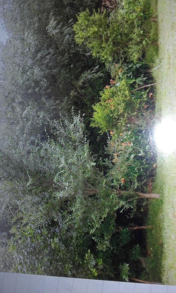 Terrain à Entre Rios, Argentina No. 42212