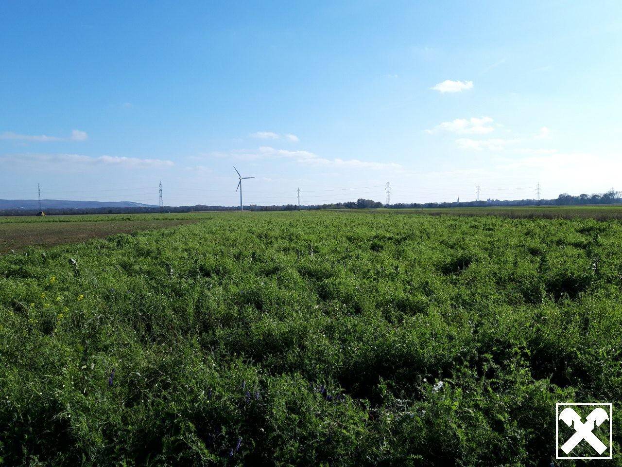 802m² Land in Pottendorf, Austria No. 152562