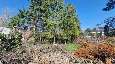 Grundstück in Königstetten, Austria, Nr. 57452