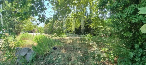 Grundstück in Sorgues, France 1166m², Nr. 282570 5