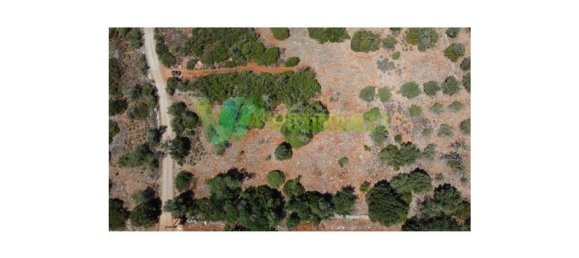 2800m² Land in Sao Bartolomeu de Messines, Portugal No. 74080 6