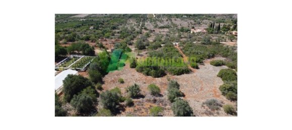 2800m² Land in Sao Bartolomeu de Messines, Portugal No. 74080 7