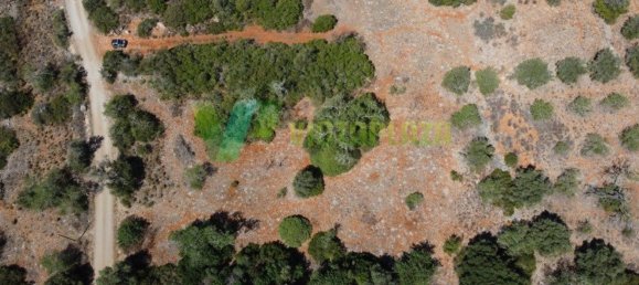 2800m² Land in Sao Bartolomeu de Messines, Portugal No. 74080 3