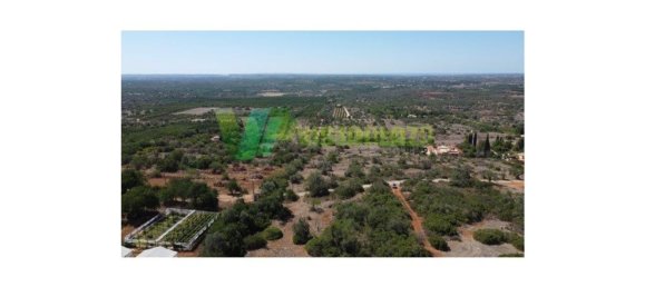 2800m² Land in Sao Bartolomeu de Messines, Portugal No. 74080 8