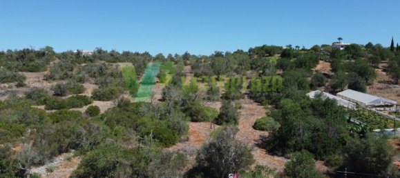 2800m² Land in Sao Bartolomeu de Messines, Portugal No. 74080 4