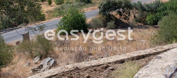 Grundstück in Alcoutim, Portugal 13200m², Nr. 39802 10