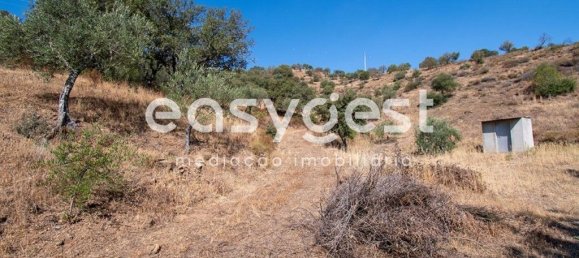 Grundstück in Alcoutim, Portugal 13200m², Nr. 39802 16