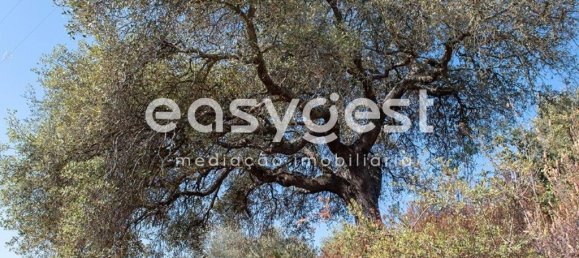 Grundstück in Alcoutim, Portugal 13200m², Nr. 39802 8