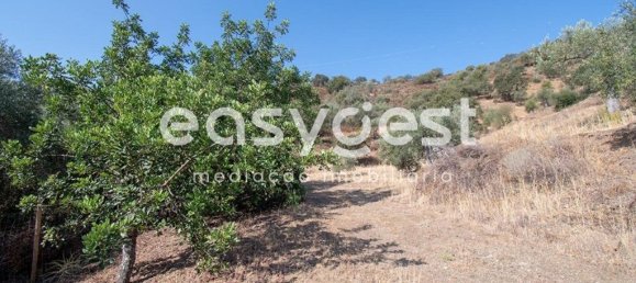 Grundstück in Alcoutim, Portugal 13200m², Nr. 39802 18