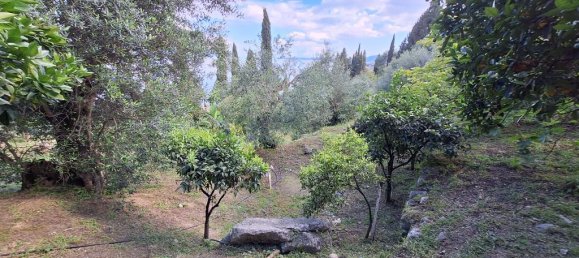 150m² propriété commerciale à vendre à Corfu, Central Corfu and Diapontian Islands, Corfu, Ionian Islands, Peloponnese, Western Greece and the Ionian, Greece № 53306 29