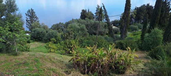 150m² propriété commerciale à vendre à Corfu, Central Corfu and Diapontian Islands, Corfu, Ionian Islands, Peloponnese, Western Greece and the Ionian, Greece № 53306 17