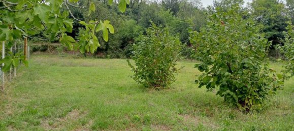 7 Schlafzimmer Villa in Pecetto di Valenza, Italy, Nr. 379687 12