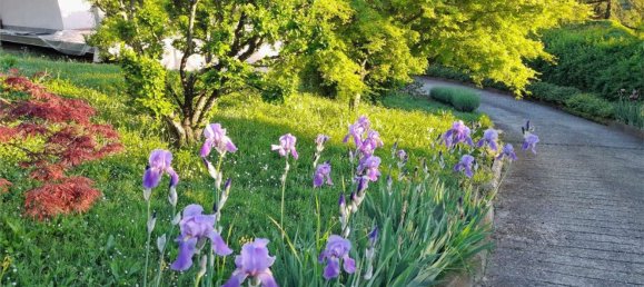 7 Schlafzimmer Villa in Pecetto di Valenza, Italy, Nr. 379687 18