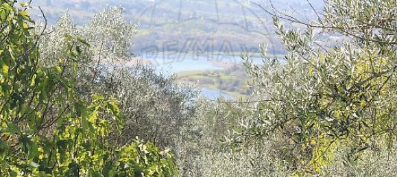 Casa T3 em Mação, Portugal N.º 16095 2