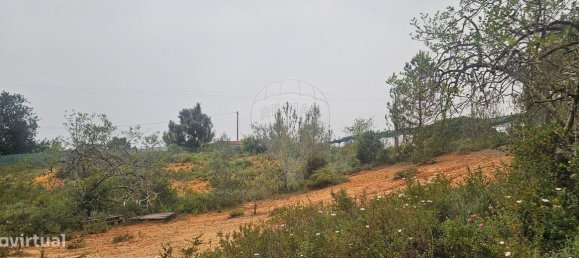 Terreno en Quarteira, Portugal 2000 m² No. 38561 3