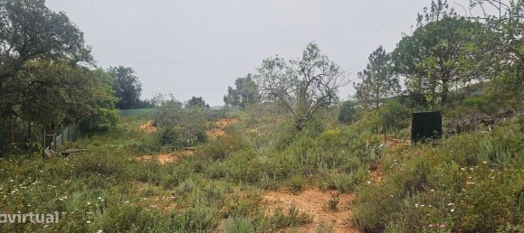 Terreno en Quarteira, Portugal 2000 m² No. 38561 2