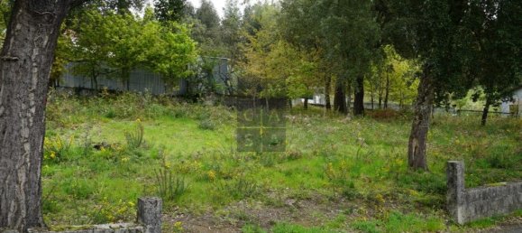 Grundstück in Macieira de Cambra, Portugal 2220m², Nr. 85829 17