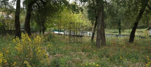 Grundstück in Macieira de Cambra, Portugal 2220m², Nr. 85829 3