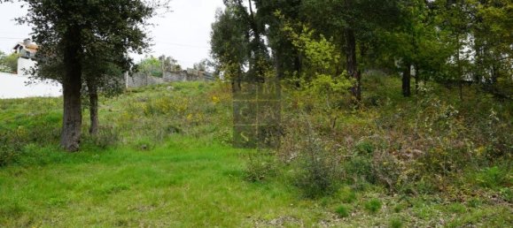 Grundstück in Macieira de Cambra, Portugal 2220m², Nr. 85829 8