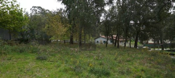 Grundstück in Macieira de Cambra, Portugal 2220m², Nr. 85829 9