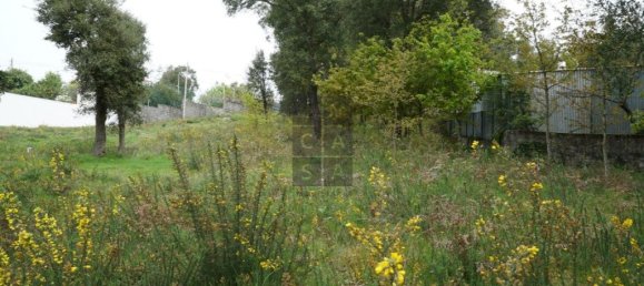 Grundstück in Macieira de Cambra, Portugal 2220m², Nr. 85829 5