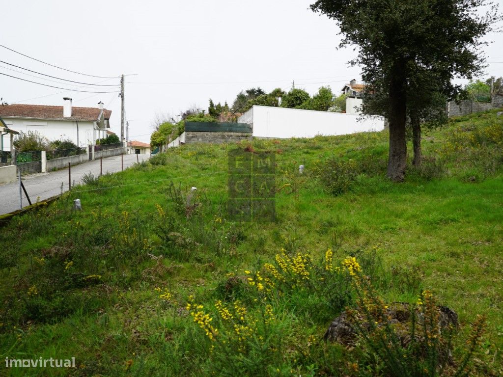 Grundstück in Macieira de Cambra, Portugal 2220m², Nr. 85829