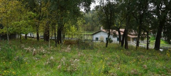 Grundstück in Macieira de Cambra, Portugal 2220m², Nr. 85829 7