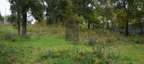 Grundstück in Macieira de Cambra, Portugal 2220m², Nr. 85829 6