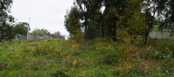 Grundstück in Macieira de Cambra, Portugal 2220m², Nr. 85829 11