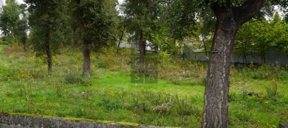 Grundstück in Macieira de Cambra, Portugal 2220m², Nr. 85829 16