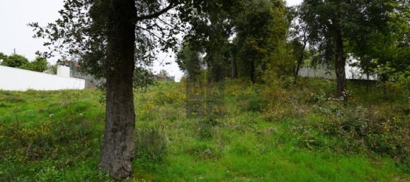 Grundstück in Macieira de Cambra, Portugal 2220m², Nr. 85829 10