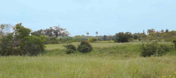  Land in Paralimni, Cyprus No. 24107 2