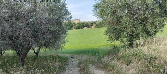 3 rooms House in Acquaviva Picena, Italy No. 139584 20