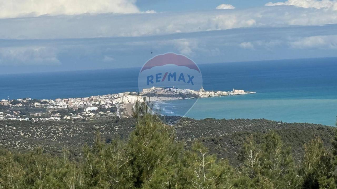 5-Zimmer Villa in Vieste, Italy, Nr. 66804