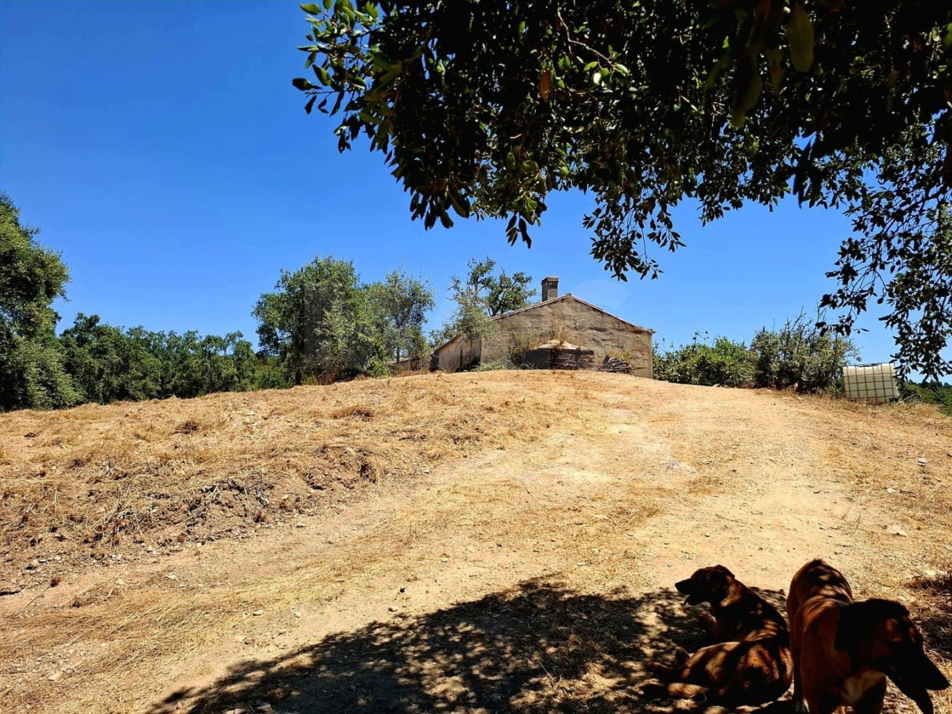 Grundstück in Reliquias, Portugal 730000m², Nr. 227475