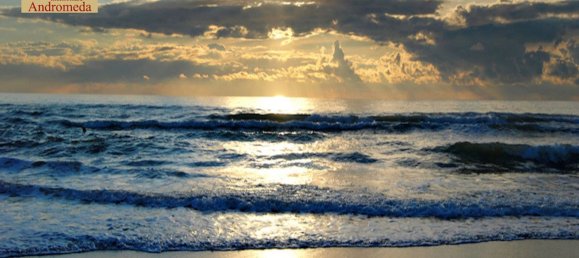 4 rooms Villa in Forte dei Marmi, Italy No. 309985 16