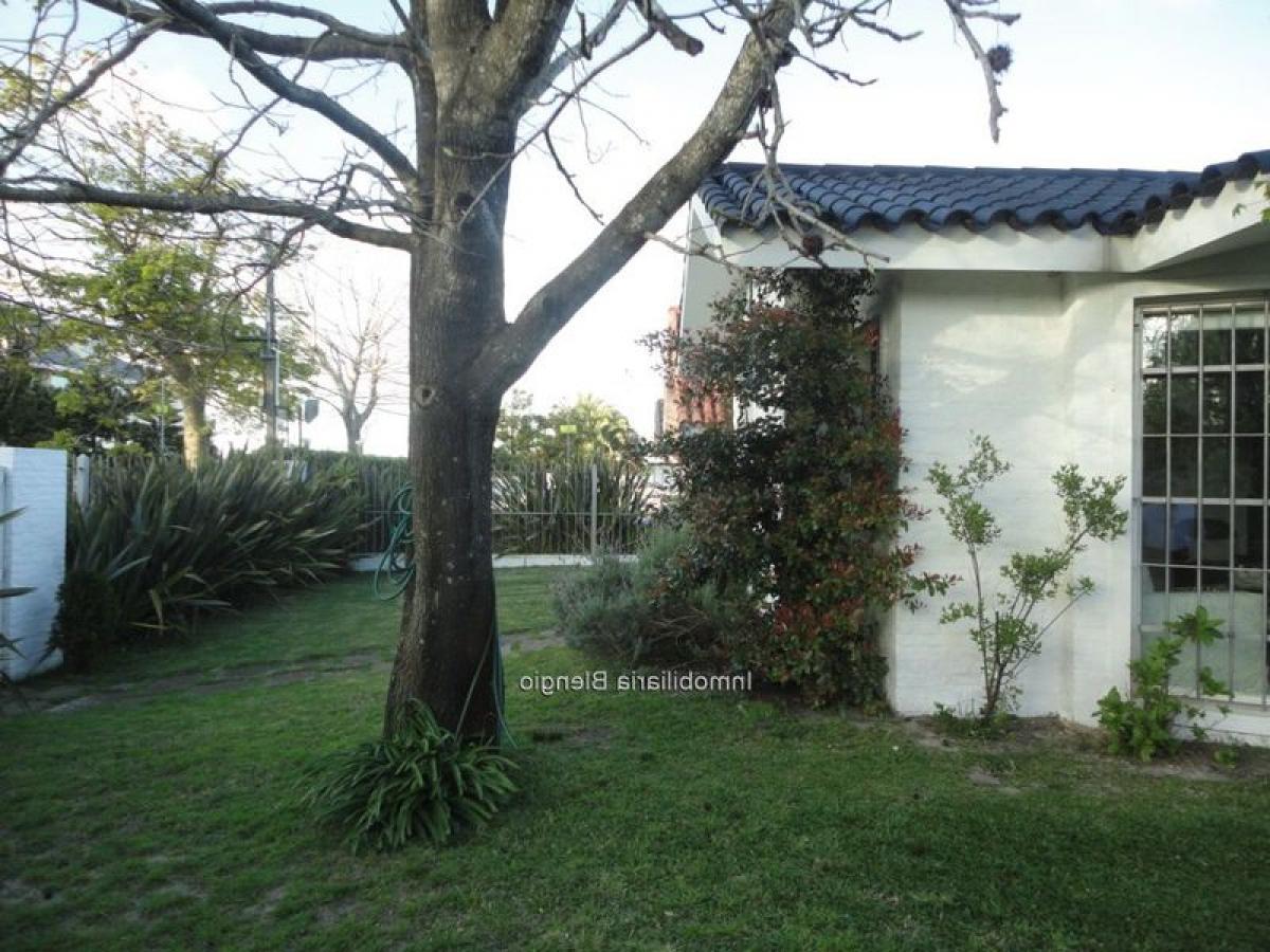 3 Schlafzimmer Haus in Montevideo, Uruguay, Nr. 12781