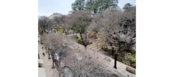 1 chambre Appartement à Lisbon, Portugal No. 151973 18