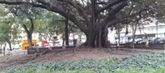 1 chambre Appartement à Lisbon, Portugal No. 151973 34