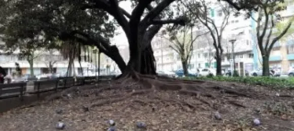 1 chambre Appartement à Lisbon, Portugal No. 151973 7
