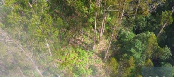 Земельный участок в Фуншал, Португалия № 190185 17